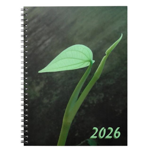CADERNO ESPIRAL ARTE FLOR NATURAL PARA PRESENTE 2026 (Frente)