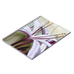 Caderno Espiral Arte Fotográfico Botânico de Flor de Lírio Rosa Su