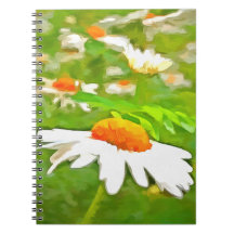 Artista Brilhante Colorido Daisie White Garden Dai