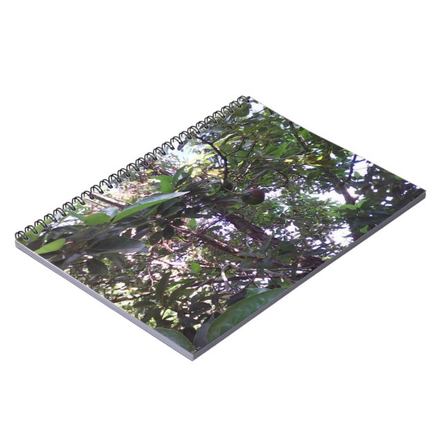 Caderno Espiral Árvore Avocado (Left Side)