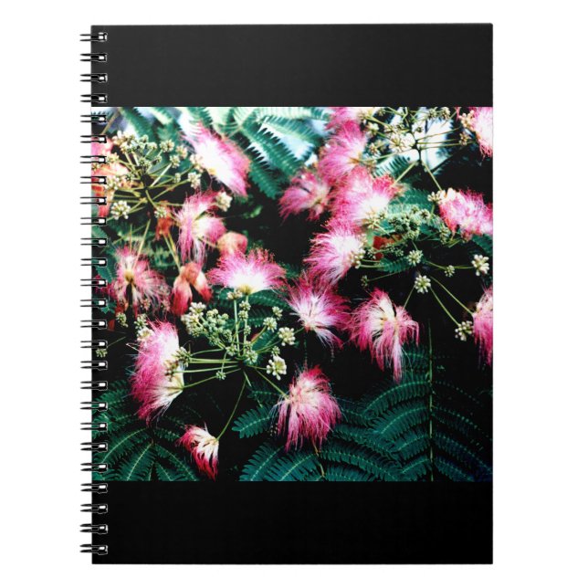 Caderno Espiral Árvore da Seda (Frente)