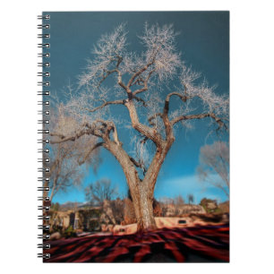 Caderno Espiral Árvore de Canyon Road
