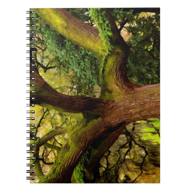 Caderno Espiral Árvore de carvalho (Frente)