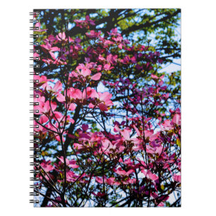 Caderno Espiral Árvore de Dogwood florada rosa