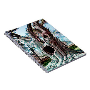 Caderno Espiral Árvore de filmes do Assistente Famous