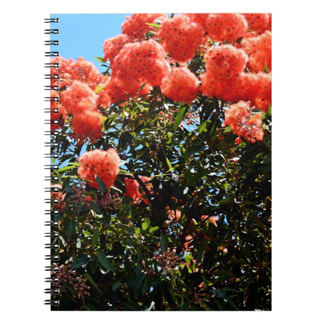 Caderno Espiral Árvore de Flor Eucalyptus Laranja, (Frente)