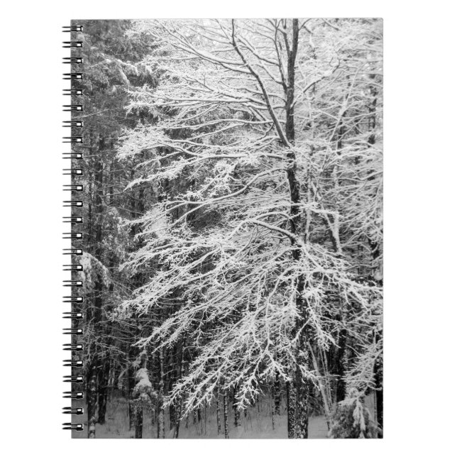 Caderno Espiral Árvore de Mapeamento Descrito Na Neve (Frente)