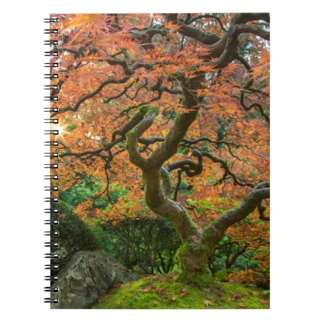 Caderno Espiral Árvore De Mapeamento Nos Jardins Japoneses No Outo (Frente)