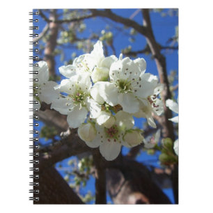 Caderno Espiral Árvore de pera de Primavera de Flor em Clusters Br