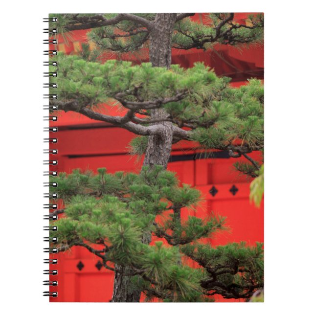 Caderno Espiral Árvore de Pinheiro Bonsai (Frente)