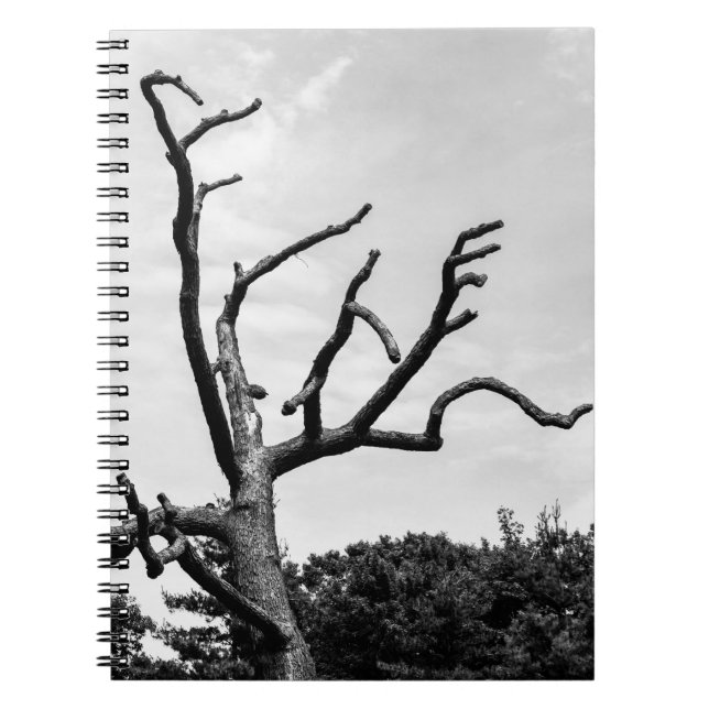 Caderno Espiral árvore livre (Frente)