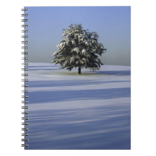 Caderno Espiral Árvore na paisagem coberto de neve