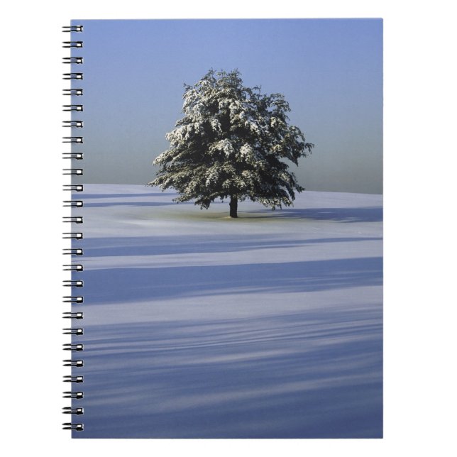Caderno Espiral Árvore na paisagem coberto de neve (Frente)