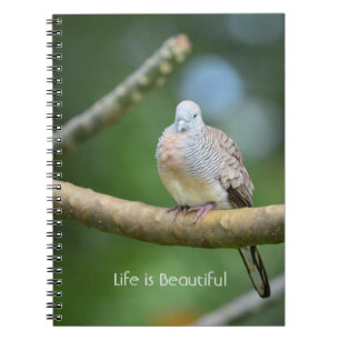 Caderno Espiral Árvore Pássaro Kauai (minha fotografia)