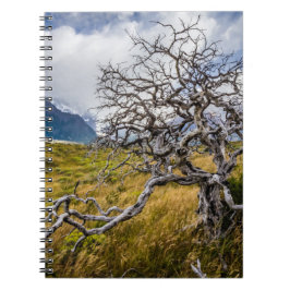 Caderno Espiral Árvore queimada, Torres del Paine, Chile