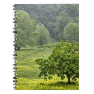 Caderno Espiral Árvore solitária em campo agrícola, Toscana, 2