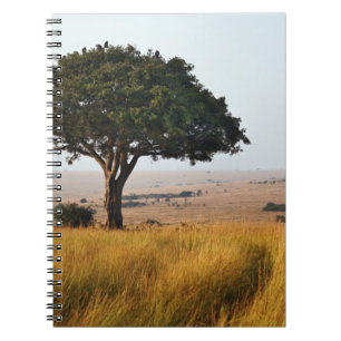 Caderno Espiral Árvore única de acácia nas planícies gramadas, Mas