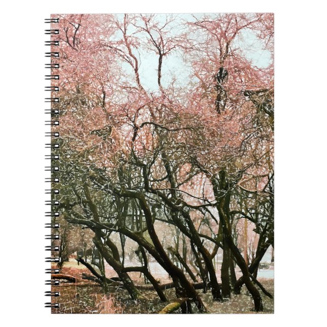 CADERNO ESPIRAL ÁRVORES (Frente)