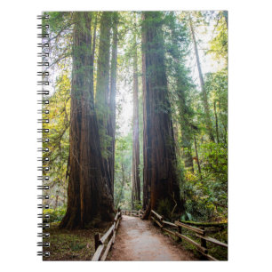 Caderno Espiral Árvores altas