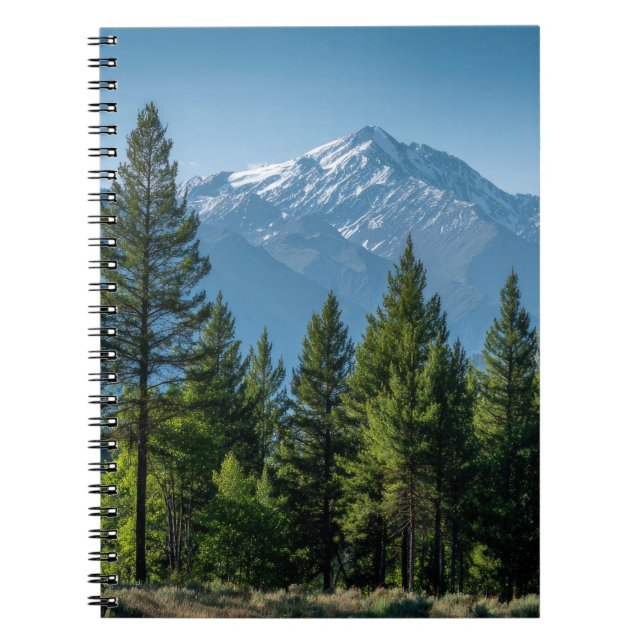 Caderno Espiral Árvores Coníferas com Fundo de Montanha (Frente)