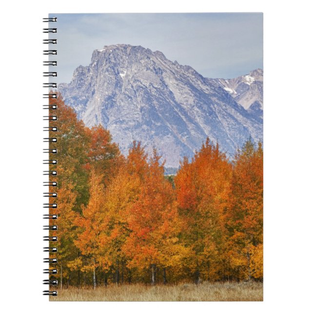 Caderno Espiral Árvores de Aspen com a cordilheira Teton (Frente)
