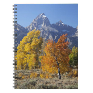 Caderno Espiral Árvores de Aspen com a cordilheira Teton