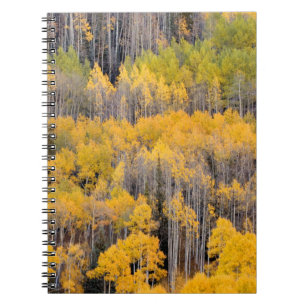 Caderno Espiral Árvores de Aspen   Floresta Nacional de White Rive