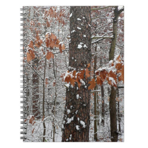 Caderno Espiral Árvores de carvalho cobertas por neve Fotografia