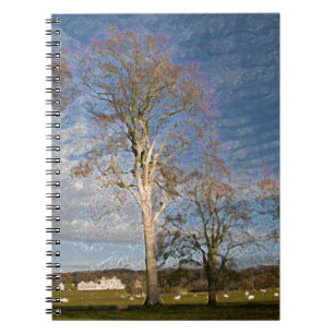 Caderno Espiral Árvores de Faia Irlandesas