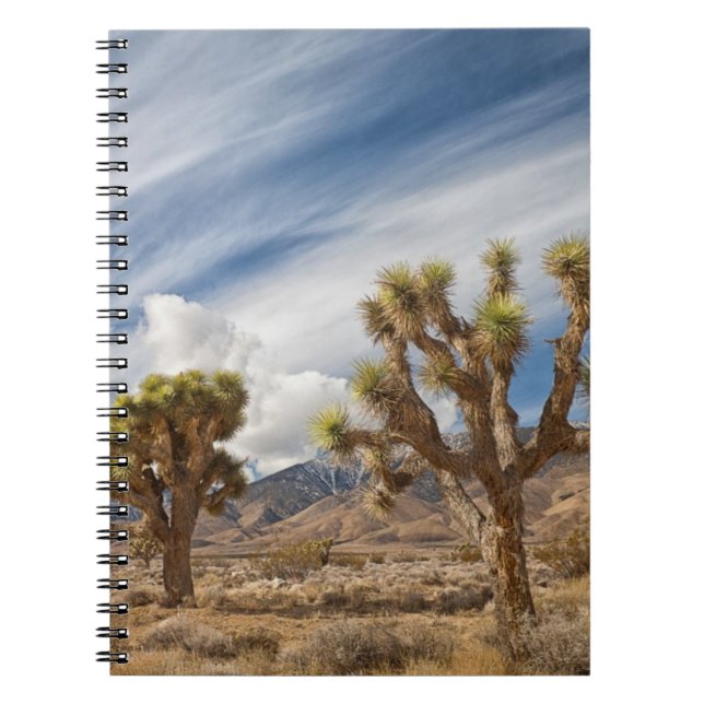 Caderno Espiral Árvores de Joshua no deserto (Frente)