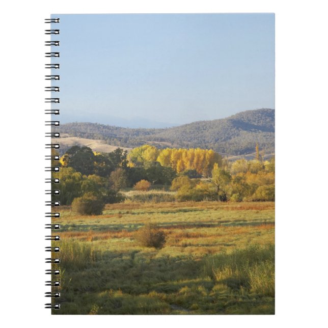 Caderno Espiral Árvores de Outono, Khancoban, Montanhas Nevadas, N (Frente)