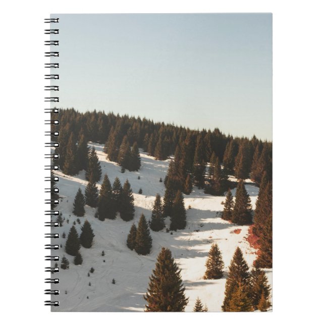 CADERNO ESPIRAL ÁRVORES DE PINOS VERDE (Frente)