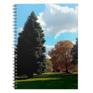 Caderno Espiral Árvores do outono