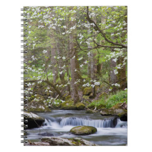 Caderno Espiral Árvores Dogwood   Grande Montanha Fumegante, Tenne