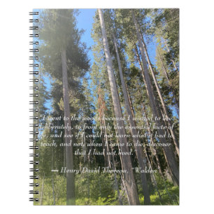 Caderno Espiral Árvores Forest Thoreau