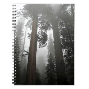 Caderno Espiral Árvores gigantes de sequoia na porca, CA