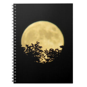 Caderno Espiral Árvores iluminadas pela lua de cheio