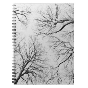 Caderno Espiral Árvores Leafless na madeira de Thiepval