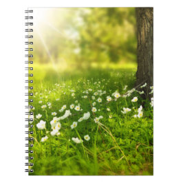 Caderno Espiral As alegrias da Primavera