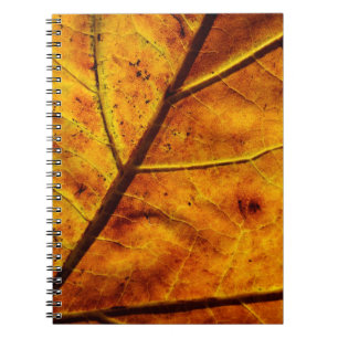 Caderno Espiral As veias de folha de folhas caem na textura