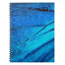 Caderno Espiral Asa de Borboleta Azul Iridescente