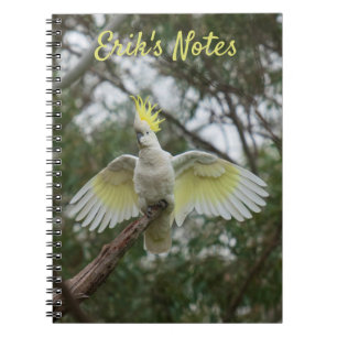 Caderno Espiral Asas de Espalhamento de Cockatoa Ave Austrália