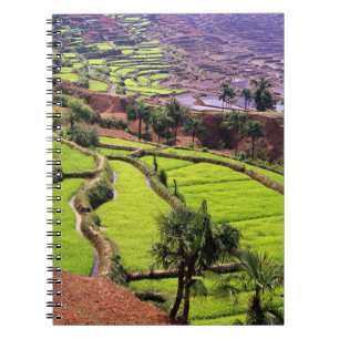 Caderno Espiral Ásia, China, Yunnan, Honghe. Terraços de arroz pe