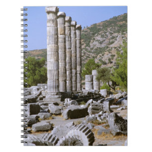 Caderno Espiral Ásia, Oriente Médio, Turquia, Éfeso. Templo de