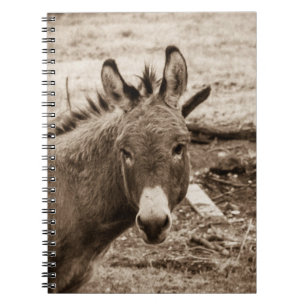 Caderno Espiral Asno