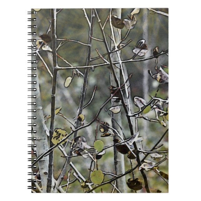Caderno Espiral Aspen (Frente)