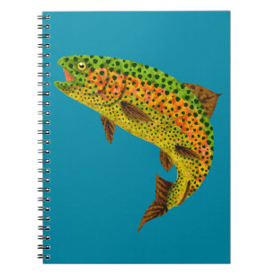 Caderno Espiral Aspen Arco-Íris Folha 1