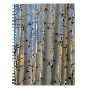Caderno Espiral Aspen Groves Montanhas Colorado Rocky