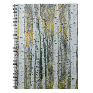 Caderno Espiral Aspen troncos de árvore Aspen, Colorado