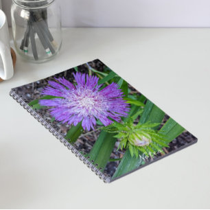 Caderno Espiral Aster Floral de Purple Stoke